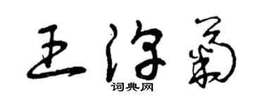 曾庆福王淳菊草书个性签名怎么写