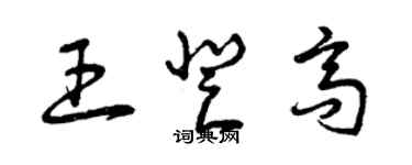 曾庆福王登高草书个性签名怎么写