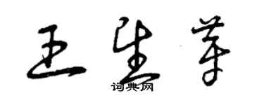 曾庆福王望芽草书个性签名怎么写