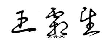 曾庆福王霜望草书个性签名怎么写