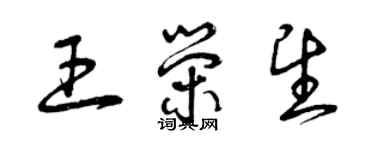 曾庆福王荣望草书个性签名怎么写
