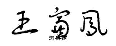 曾庆福王富凤草书个性签名怎么写