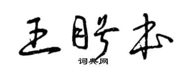 曾庆福王盼本草书个性签名怎么写