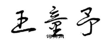 曾庆福王童予草书个性签名怎么写