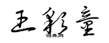曾庆福王彩童草书个性签名怎么写
