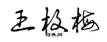曾庆福王枚梅草书个性签名怎么写