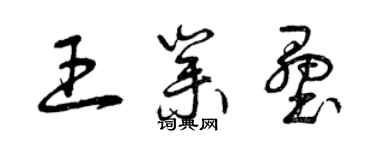 曾庆福王业垒草书个性签名怎么写