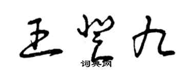 曾庆福王登九草书个性签名怎么写