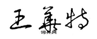 曾庆福王华特草书个性签名怎么写