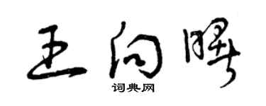曾庆福王向曙草书个性签名怎么写
