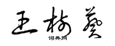 曾庆福王树葵草书个性签名怎么写