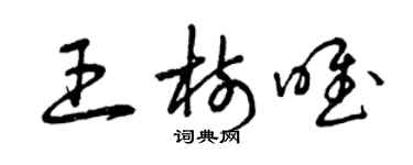 曾庆福王树唯草书个性签名怎么写