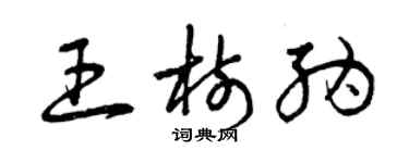 曾庆福王树纳草书个性签名怎么写