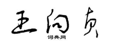 曾庆福王向贞草书个性签名怎么写