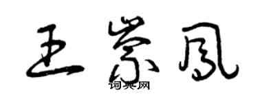 曾庆福王崇凤草书个性签名怎么写