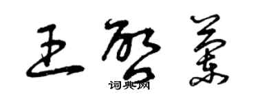 曾庆福王启兰草书个性签名怎么写