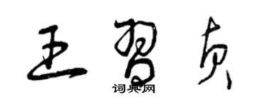 曾庆福王习贞草书个性签名怎么写