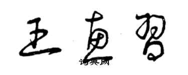 曾庆福王惠习草书个性签名怎么写