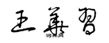 曾庆福王华习草书个性签名怎么写