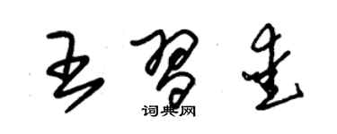 朱锡荣王习爱草书个性签名怎么写