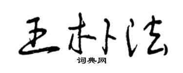 曾庆福王朴法草书个性签名怎么写