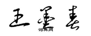 曾庆福王墨春草书个性签名怎么写