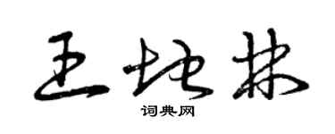 曾庆福王地林草书个性签名怎么写