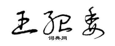 曾庆福王纪委草书个性签名怎么写