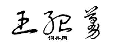 曾庆福王纪蔓草书个性签名怎么写
