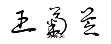 曾庆福王菊芝草书个性签名怎么写