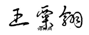 曾庆福王粟翎草书个性签名怎么写