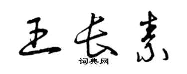 曾庆福王长素草书个性签名怎么写