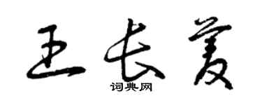 曾庆福王长菱草书个性签名怎么写