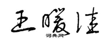 曾庆福王暖佳草书个性签名怎么写