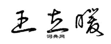 曾庆福王立暖草书个性签名怎么写