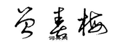 曾庆福曾春梅草书个性签名怎么写