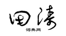 曾庆福田涛草书个性签名怎么写
