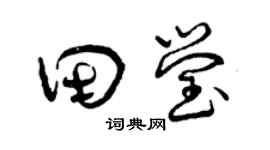 曾庆福田莹草书个性签名怎么写