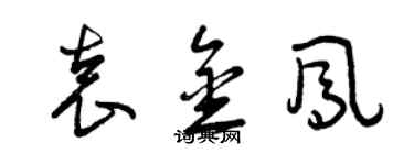 曾庆福袁金凤草书个性签名怎么写