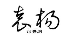 曾庆福袁杨草书个性签名怎么写