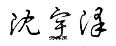 曾庆福沈宇泽草书个性签名怎么写
