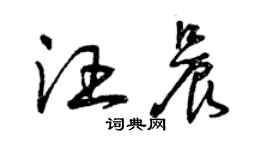 曾庆福汪晨草书个性签名怎么写