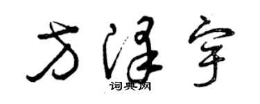 曾庆福方泽宇草书个性签名怎么写