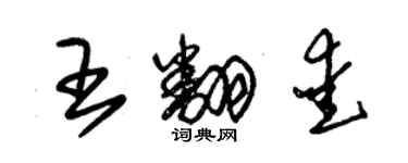 朱锡荣王翻爱草书个性签名怎么写