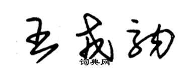 朱锡荣王戎驹草书个性签名怎么写