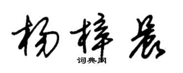 朱锡荣杨梓晨草书个性签名怎么写