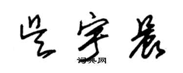 朱锡荣吴宇晨草书个性签名怎么写