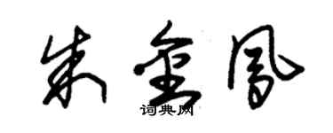 朱锡荣朱金凤草书个性签名怎么写