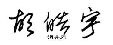 朱锡荣胡皓宇草书个性签名怎么写
