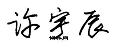 朱锡荣许宇辰草书个性签名怎么写
